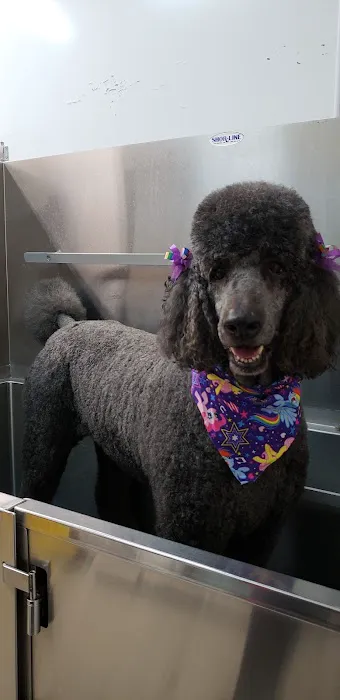 Mahaffey Kris DVM Picture 2