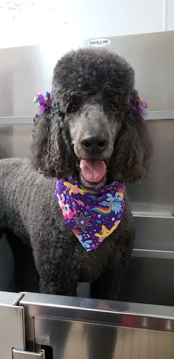 Mahaffey Kris DVM Picture 1