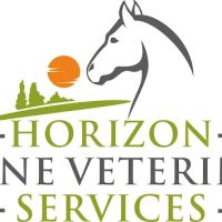 Horizon Equine Veterinary Services ico