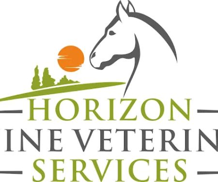 Horizon Equine Veterinary Services
