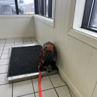 Midland Prairie Veterinary Services ico