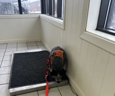 Midland Prairie Veterinary Services