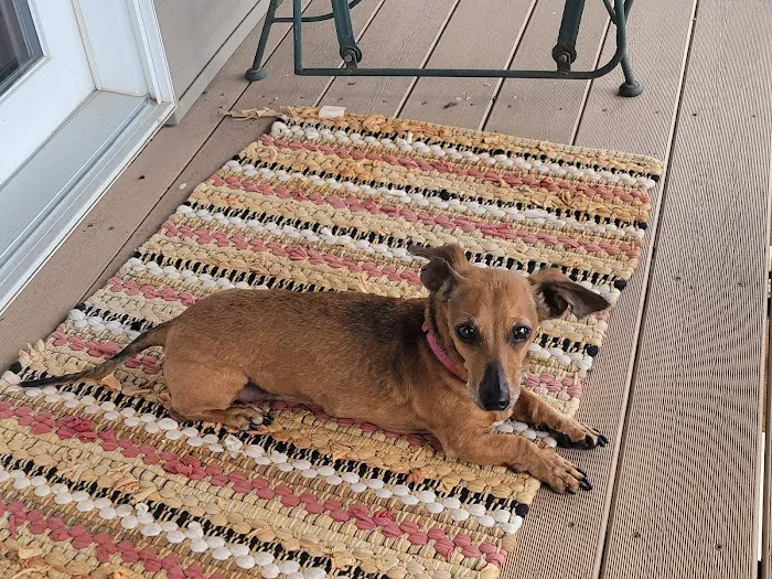 Midland Prairie Veterinary Services Picture 5