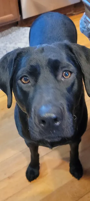 Midland Prairie Veterinary Services Picture 4