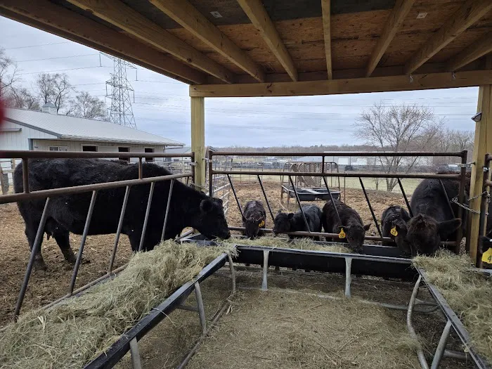 Midland Prairie Veterinary Services Picture 3