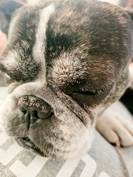 Midland Prairie Veterinary Services Picture 7