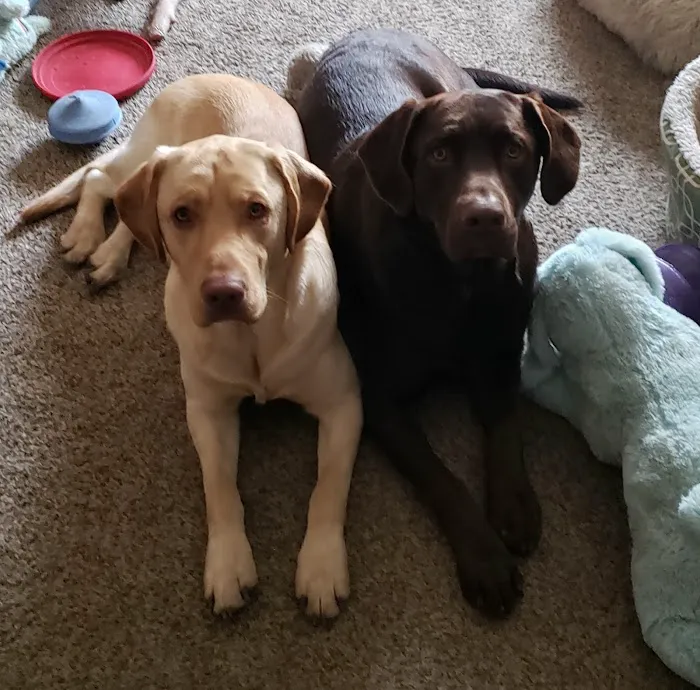 Midland Prairie Veterinary Services Picture 10