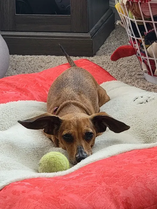 Midland Prairie Veterinary Services Picture 9