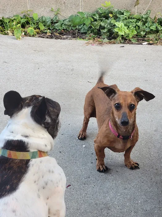 Midland Prairie Veterinary Services Picture 8