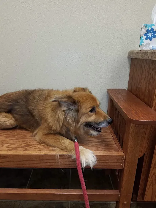 Emerson Veterinary Clinic and Hospital Picture 3