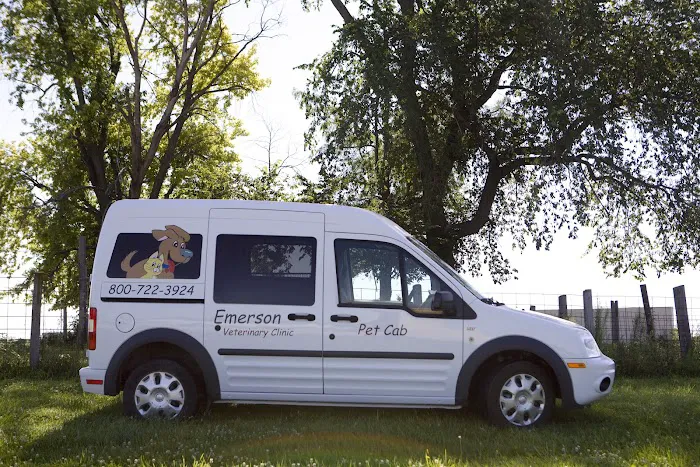 Emerson Veterinary Clinic and Hospital Picture 2