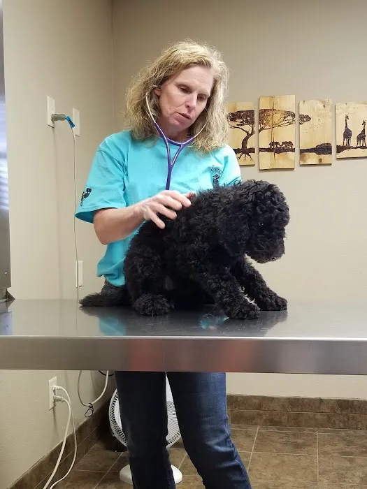 Emerson Veterinary Clinic and Hospital Picture 6