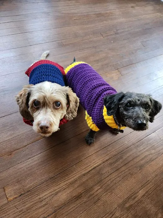 East Lawn Animal Hospital Picture 4