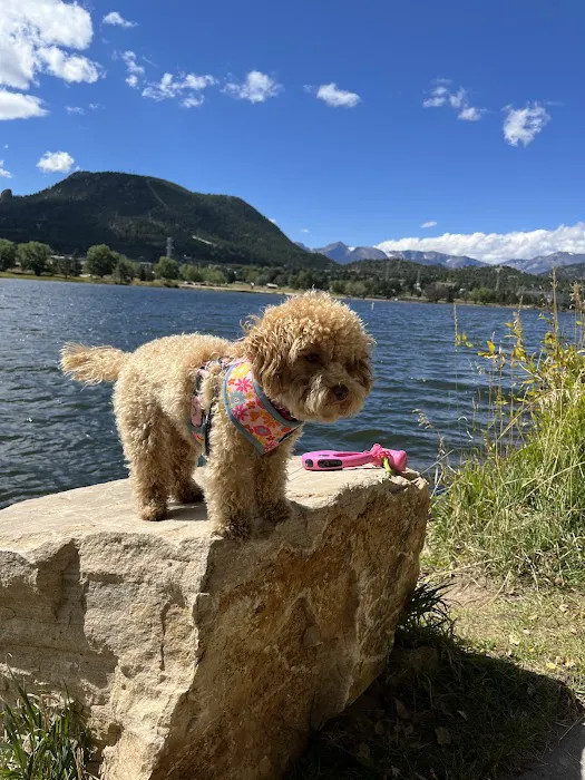 East Lawn Animal Hospital Picture 5