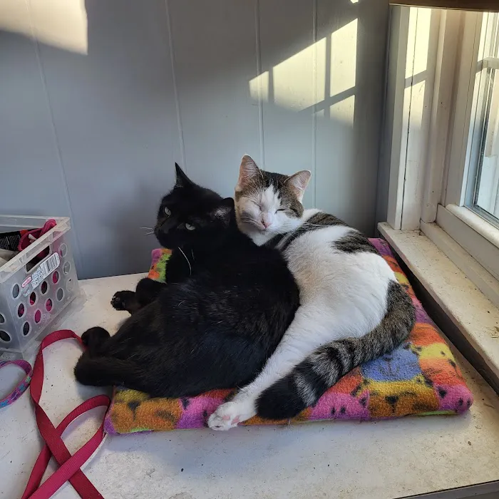 East Lawn Animal Hospital Picture 6