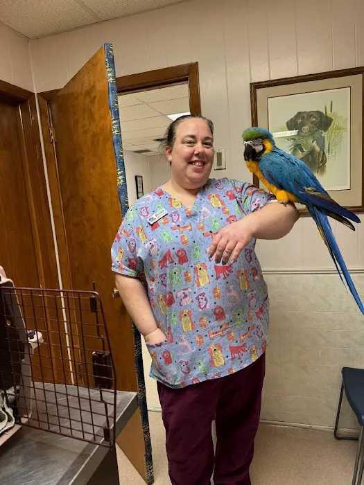 East Lawn Animal Hospital Picture 10