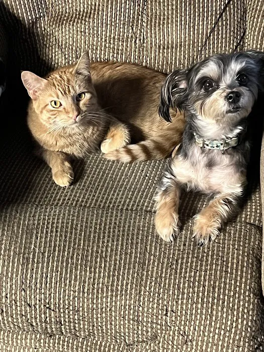 East Lawn Animal Hospital Picture 9