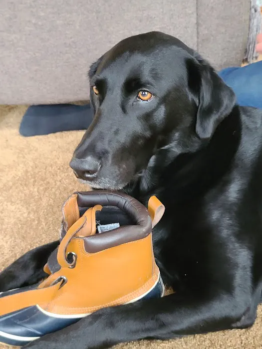 East Lawn Animal Hospital Picture 7