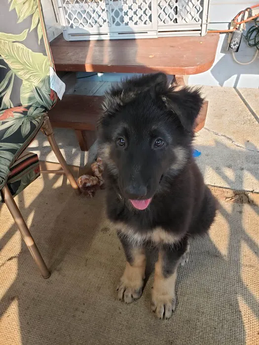 Holm Animal Hospital Picture 1