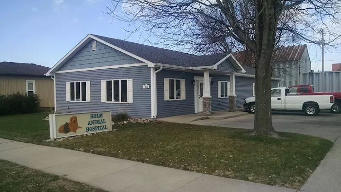 Holm Animal Hospital Picture 7