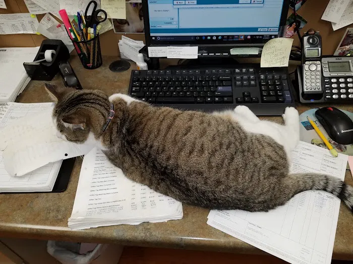 Family Pet Medical Center Picture 1