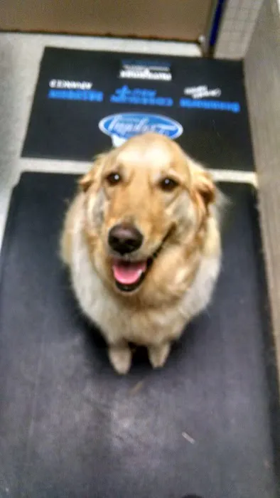 Family Pet Medical Center Picture 5