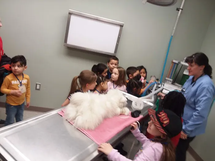 Family Pet Medical Center Picture 4