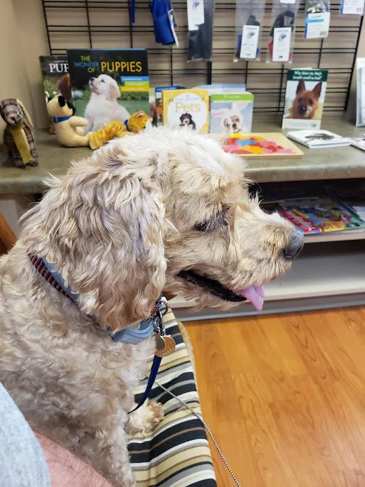 Family Pet Medical Center Picture 8