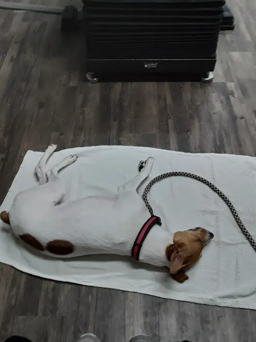 Dayton Veterinary Clinic, PLLC Picture 1