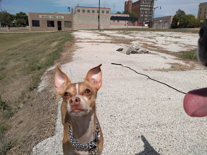 Town & Country Veterinary Clinic Picture 3