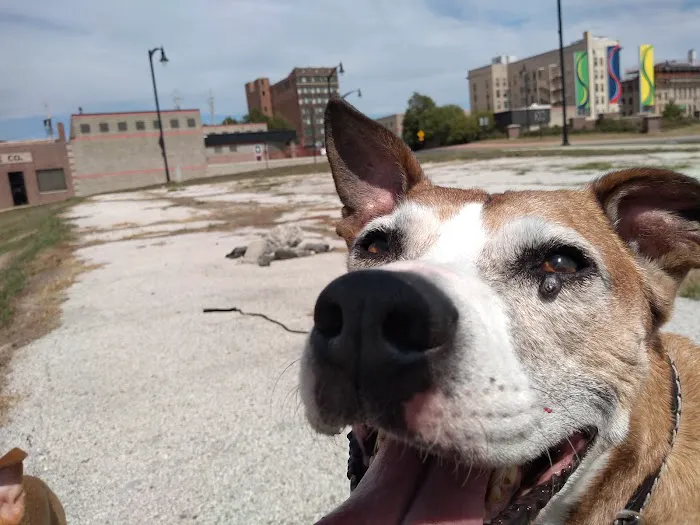 Town & Country Veterinary Clinic Picture 2