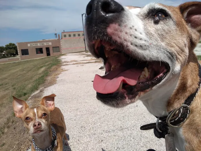 Town & Country Veterinary Clinic Picture 1