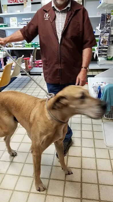 Town & Country Veterinary Clinic Picture 6