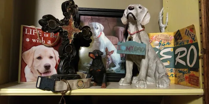 Town & Country Veterinary Clinic Picture 7