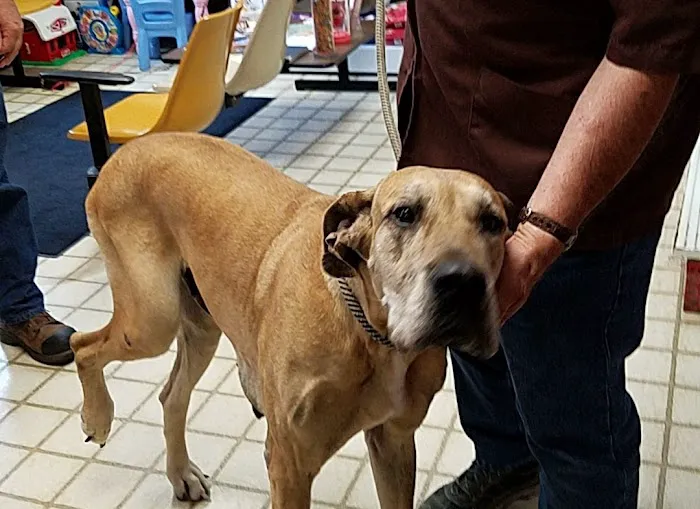 Town & Country Veterinary Clinic Picture 9