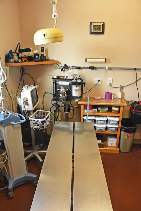 Heartland Animal Hospital Fairfax Picture 7