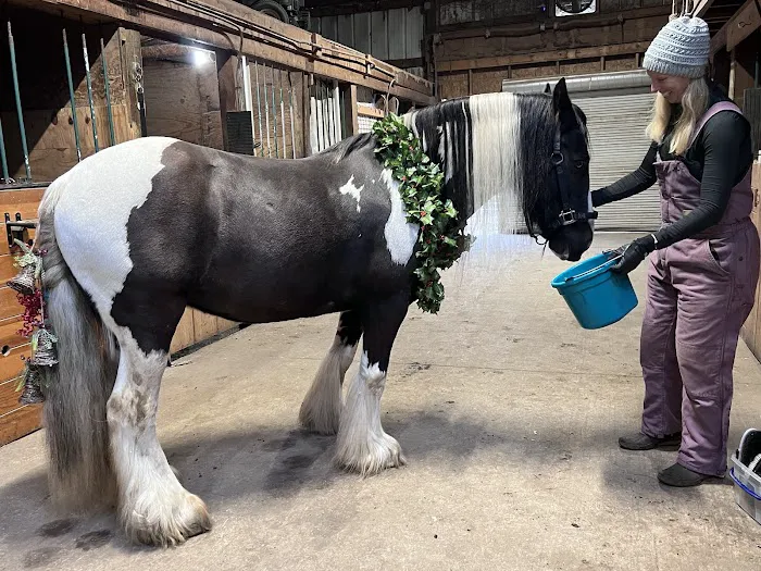 Iowa Equine Picture 6