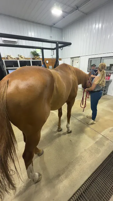 Iowa Equine Picture 4