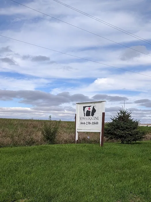 Iowa Equine Picture 3