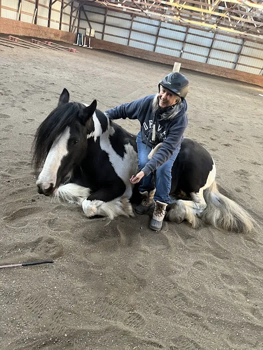 Iowa Equine Picture 5