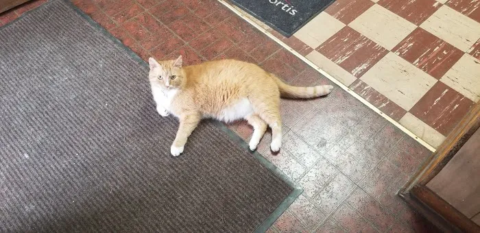 Monroe Animal Clinic Picture 4