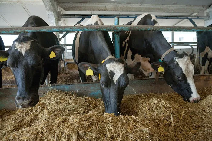 Monroe Animal Clinic Picture 1