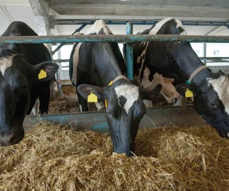 Monroe Animal Clinic