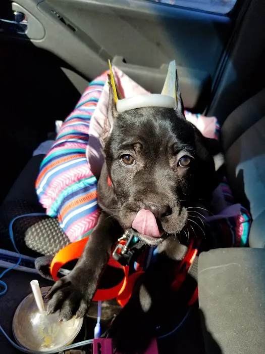 Monroe Animal Clinic Picture 3