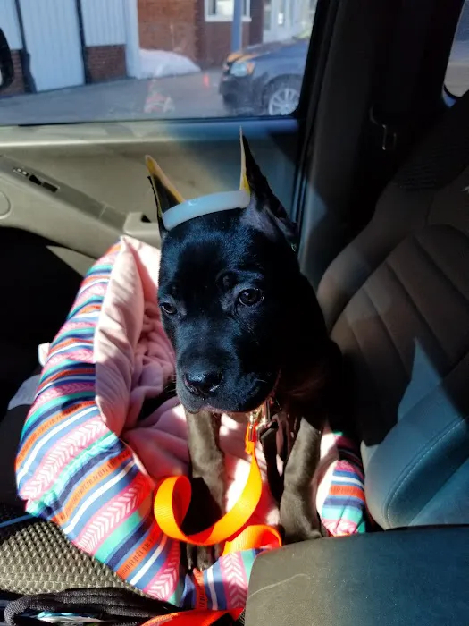 Monroe Animal Clinic Picture 2