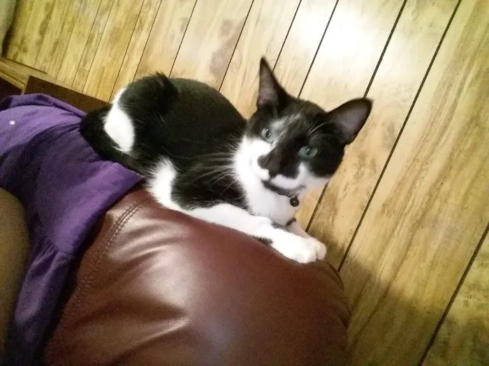 Monroe Animal Clinic Picture 7