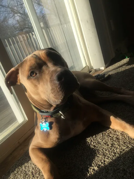 Monroe Animal Clinic Picture 5