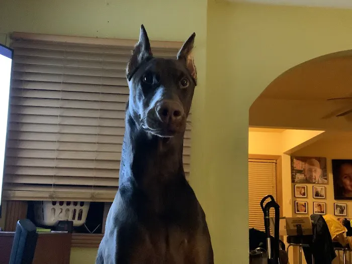 Tri-County Veterinary Clinic Picture 2