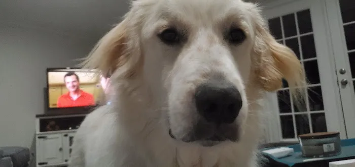 Tri-County Veterinary Clinic Picture 1