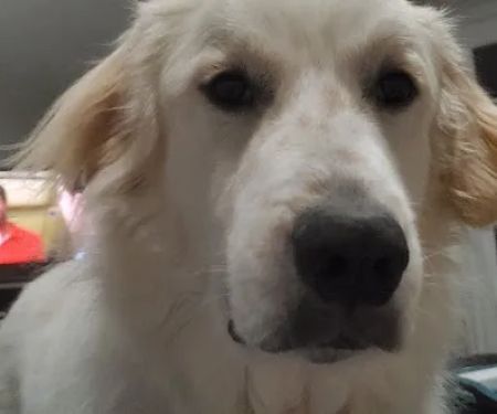 Tri-County Veterinary Clinic